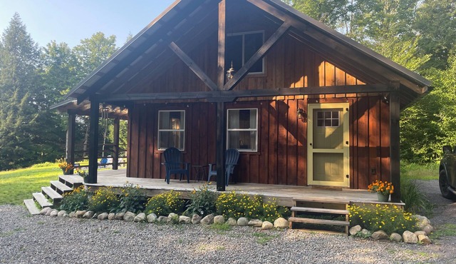 Peace and quiet in a fully equipped cabin nestled in the woods of the ADKs.