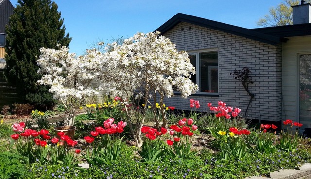 Peace and quiet near Copenhagen City centre