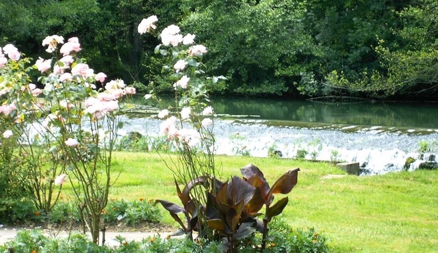 Peace and quiet on a private island in a bucolic setting.