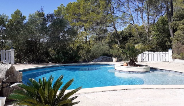 Peace and relaxation in green Provence