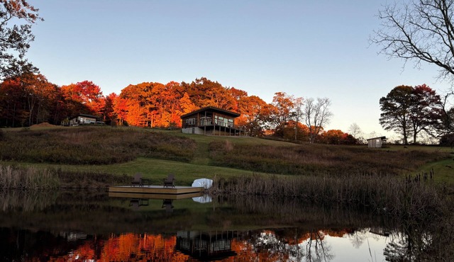 Peace and Serenity at Buffalo Bliss