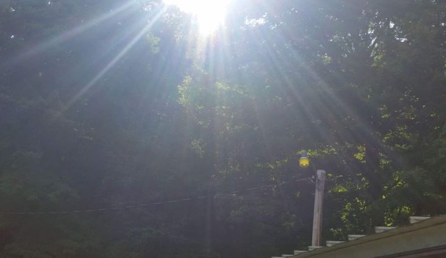 Peace and tranquilty await you at The Buck Shack