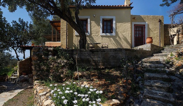 Peace and tranquility among the trees, with breathtaking views of the sea.