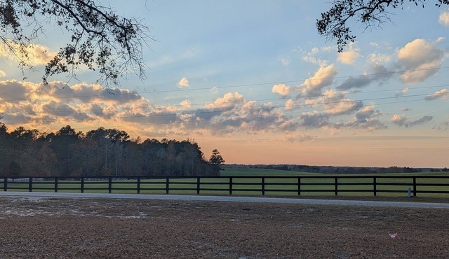 Peace at Christmas! Cozy, Country living with Beautiful view from front porch!