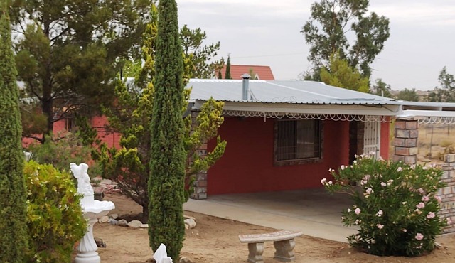 Peace Family Friendly