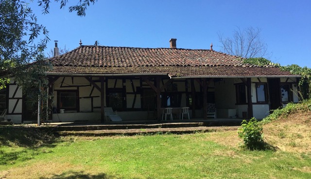 Peace, Idyllic, Nature, Peace