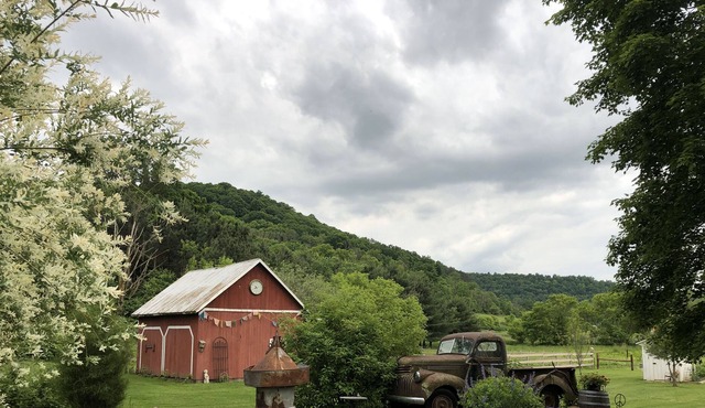 Peace in the Valley Rustic Rental-Larry's Loft