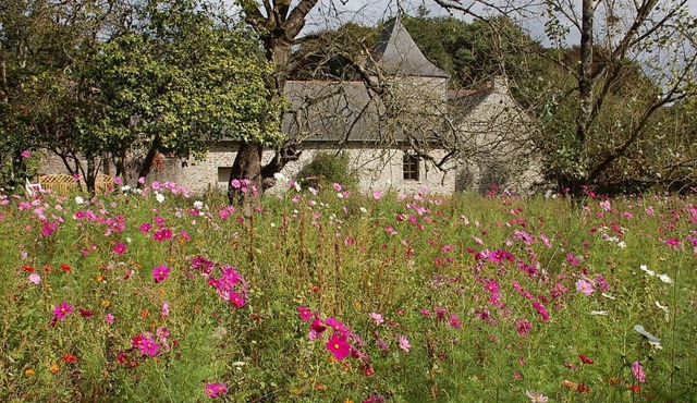 PEACE, PRIVACY AND HISTORY—ALL WRAPPED UP IN A MAGICAL SETTING