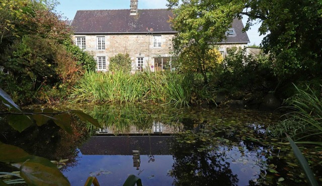 Peaceful house in nature with fireplace and pets allowed
