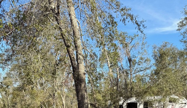 Peaceful 1-bedroom camper home with AC in charming Mayo. Peaceful and secluded.