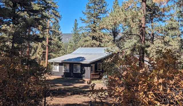 Peaceful 2-Bedroom Retreat in the Pines – Pet-Friendly with Mountain Charm