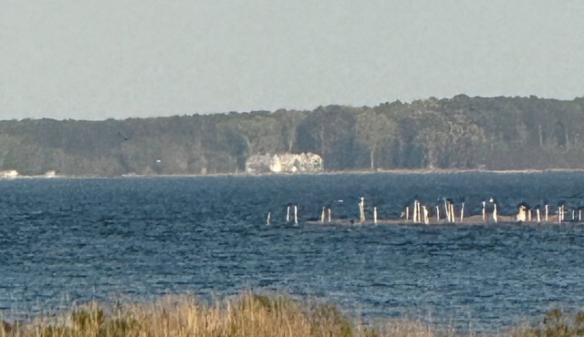 Peaceful 2-bedroom apartment in Piney Point-Budget friendly Pets welcomed