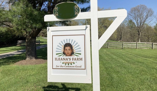 Peaceful 24-Acre Horse Farm Retreat Estate with Pool Near DC