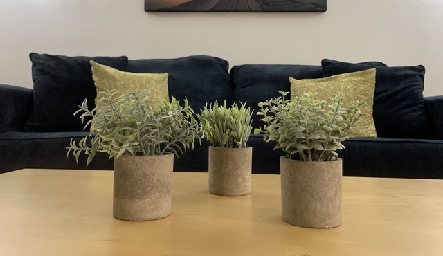 Peaceful 2BR Apt w/parking in Garfield - AMERICAN DREAM MALL & NYC