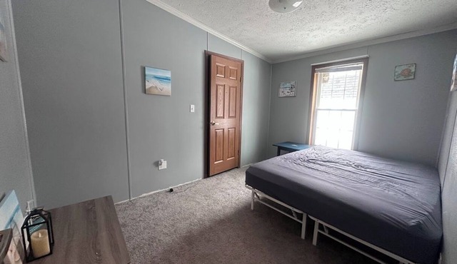 Peaceful 3-bedroom house in charming Roscommon perfect for relaxing getaway