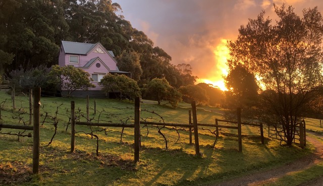 Peaceful 40-acre Gembrook Farmstay & Sanctuary - Help feed rescue animals!