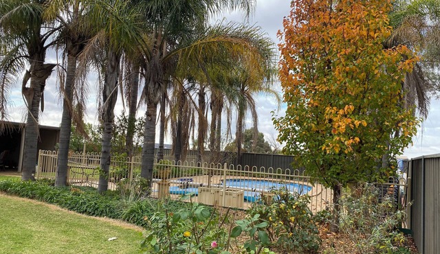 Peaceful 4br home with pool. Room for the whole family including your fur babies