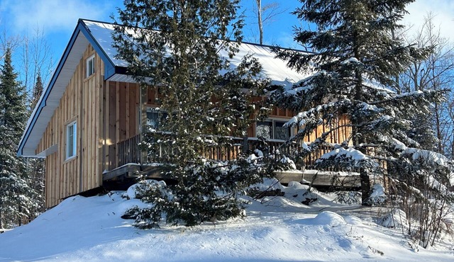 Peaceful and cozy cabin in the woods just a short drive to adventure