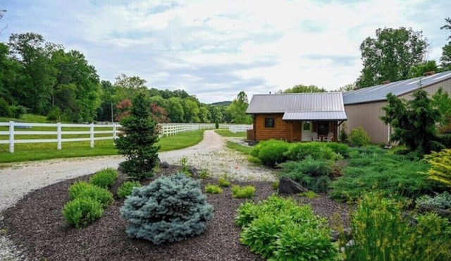 Peaceful and cozy equestrian saturated retreat