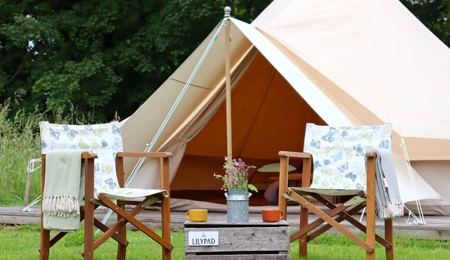 Peaceful and hidden away in rural Norfolk, Lilypad sits amongst wild flowers