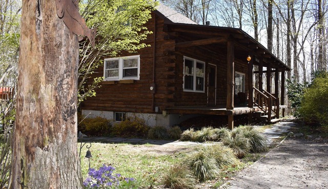 Peaceful and Private Adirondack Log Cabin