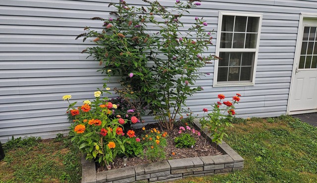 Peaceful and private two bedroom house located in Afton NY. Family friendly.