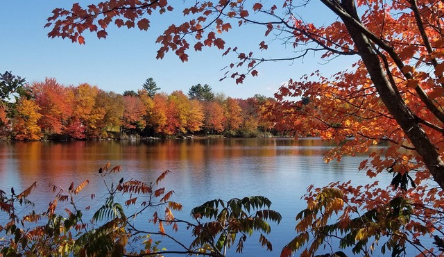 Peaceful and spacious house. Snowmobile, XC Skiing just behind the house.