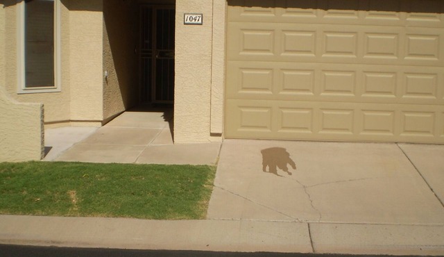 Peaceful and tranquil townhouse for seniors Heated pool/Spa gym. covered patio