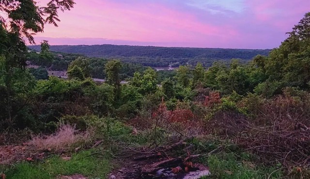 Peaceful, brand new cabin get-away at the center of 100-acre farm-built May 2022
