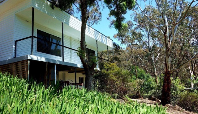 Peaceful Bush Retreat in renovated lodge