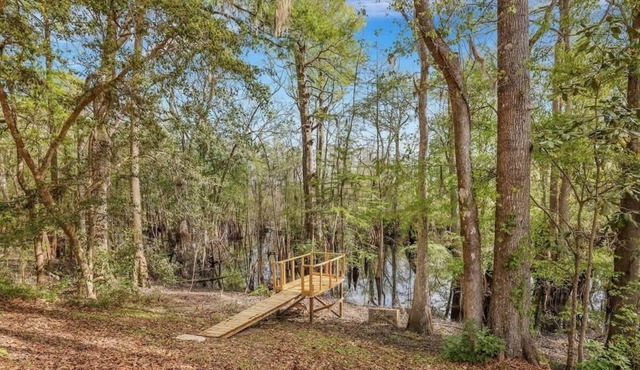 Peaceful Cabin @ Ebenezer Creek