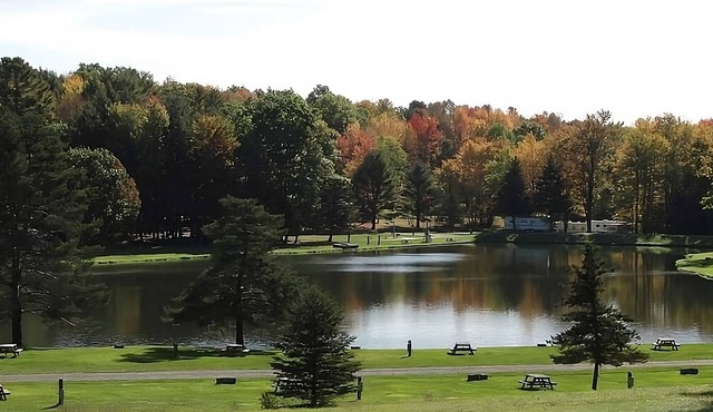 Peaceful Cabin Escape! Free Parking, Water Sports Activities!