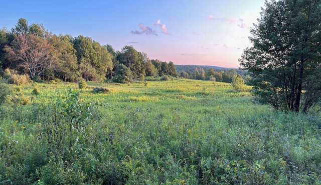 Peaceful Cabin in charming Starrucca PA