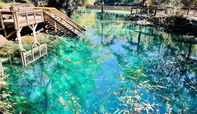 Peaceful cabin on the Cochee river w/4 acres land