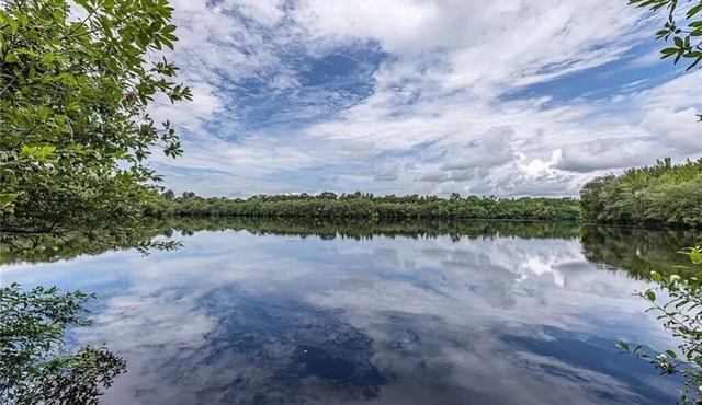 Peaceful Cabin w/Large Lake and pool - 132 acres.