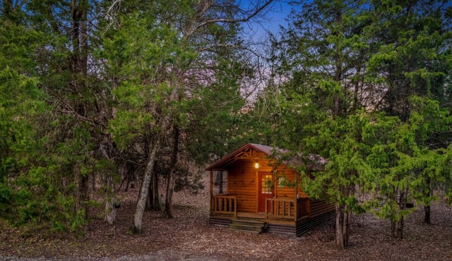 Peaceful Cabin w/TV + Wi-Fi + Firepit | Pets!