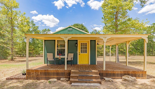 Peaceful cabin with King bed, WiFi, kitchen, fire pit. No extra fees!