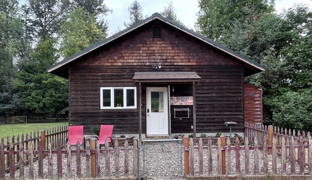 Peaceful Cabin, Wood-fired sauna, grill by creek, work remote