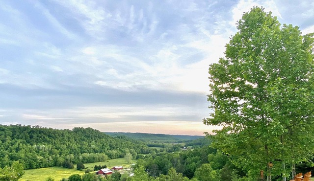 Peaceful, comfortable country cottage