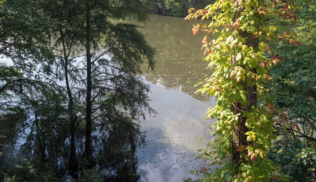 Peaceful Condo on Lake Marion in Santee, SC. Time to play golf and go fishing!