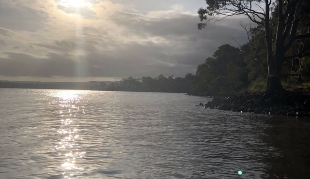 Peaceful Coongulla oasis near lake