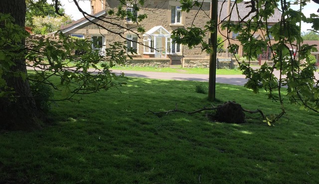 🌿 Peaceful & Cosy Cottage Stay in the Forest of Dean 🌳🐑