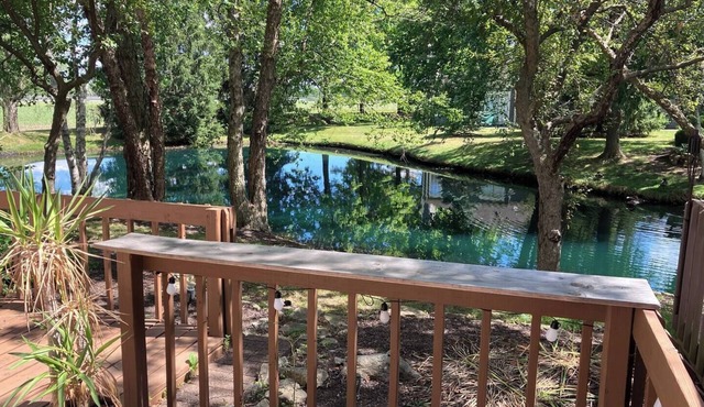 Peaceful cottage home close to Downtown Indianapolis