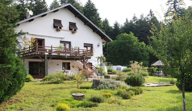 Peaceful cottage in forest with terrace, 4 people