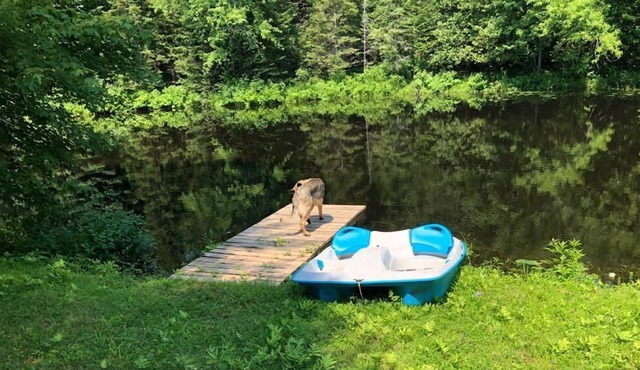 Peaceful Cottage on Beautiful Quiet River