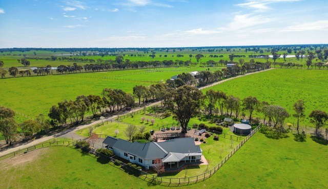 Peaceful Country GetawaynFamily friendly, fishing, rail trails & prospecting