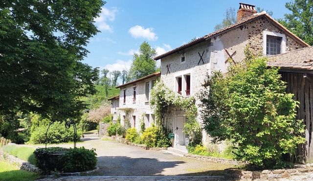 Peaceful country house with swimming pool surrounded by forest