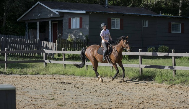 Peaceful Country Setting on a Working HorseFarm