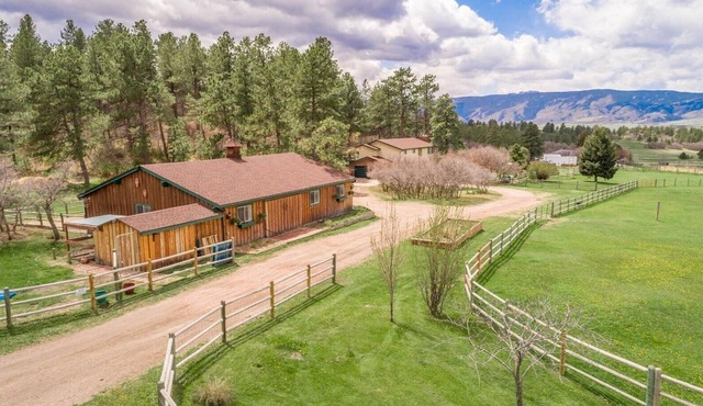 Peaceful country setting close to city comforts - hot tub and goat family onsite