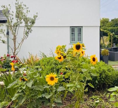 Peaceful countryside retreat